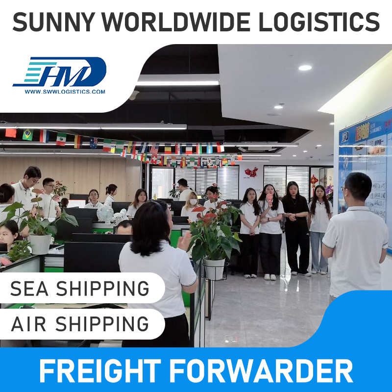 Swwls International Freight Forwarder Shipping Agent From China SZX CAN PVG NKG to Germany by air