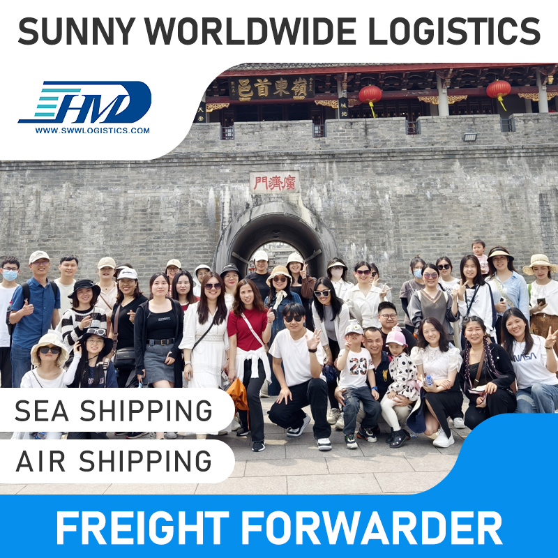 Swwls CIF Service Air Freight Forwarder From China Shipping From China To Spain shipping rates