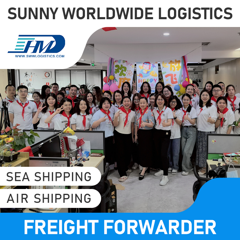 Swwls Fast Logistic Service Freight Forwarder Sea Air Shipping Agent From China to Sweden