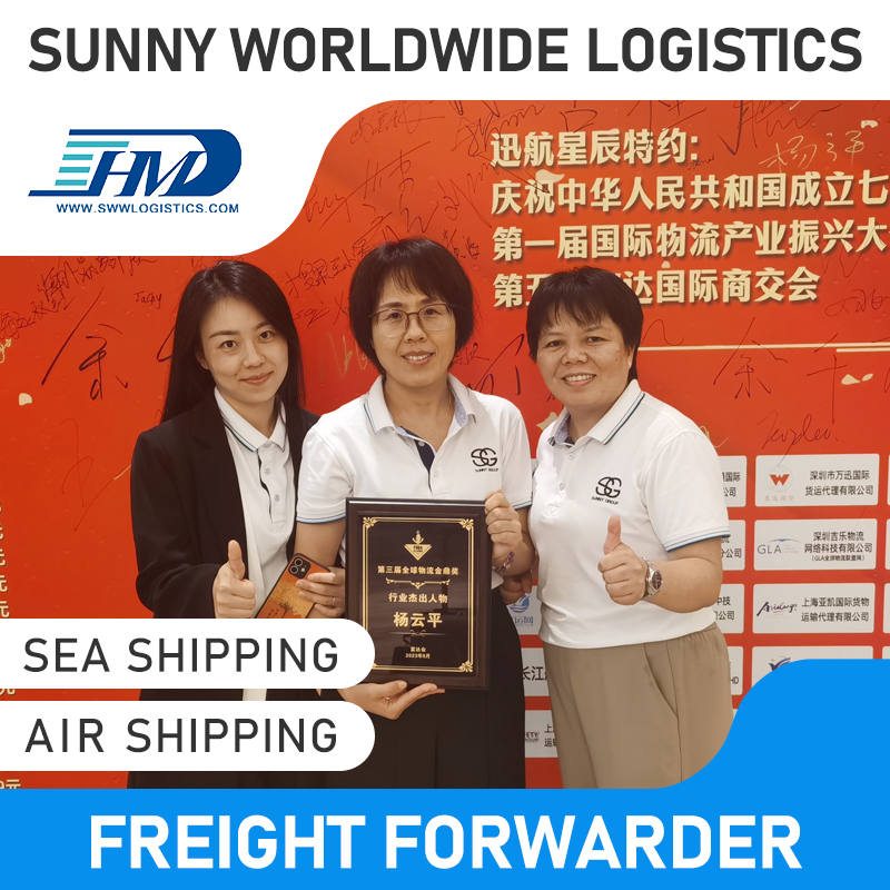 Swwls Door to Door Express Air Freight Forwarder and Sea Transport Service to Italy