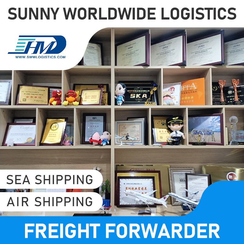 Shenzhen shipping agent door to door cheap sea shipping freight ship from china to Italy