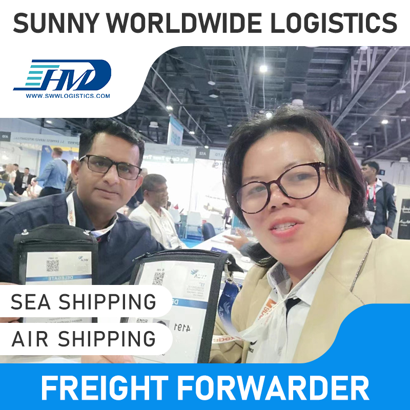 Swwls CIF Service Air Freight Forwarder From China Shipping From China To Sweden shipping rates