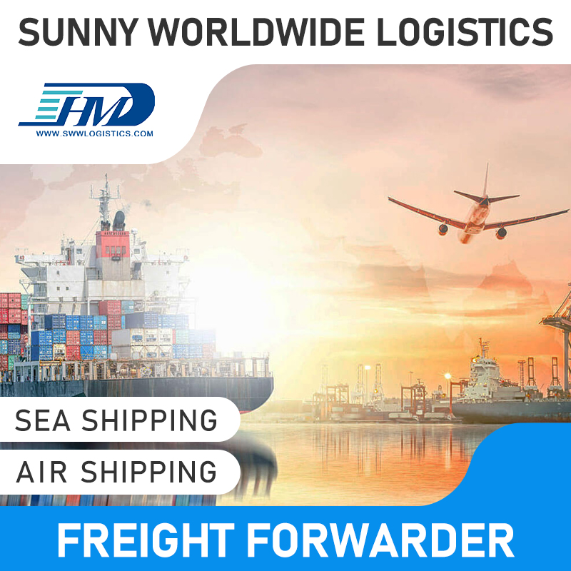 Swwls Fast Logistic Service Freight Forwarder Sea Air Shipping Agent From China to Netherlands