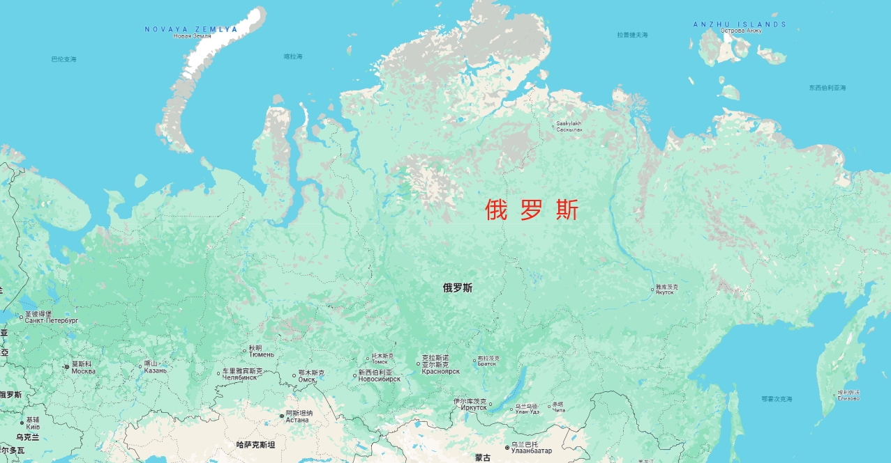 Um clique em soluções de logística personalizadas: China para a Rússia por mar/ar/terra