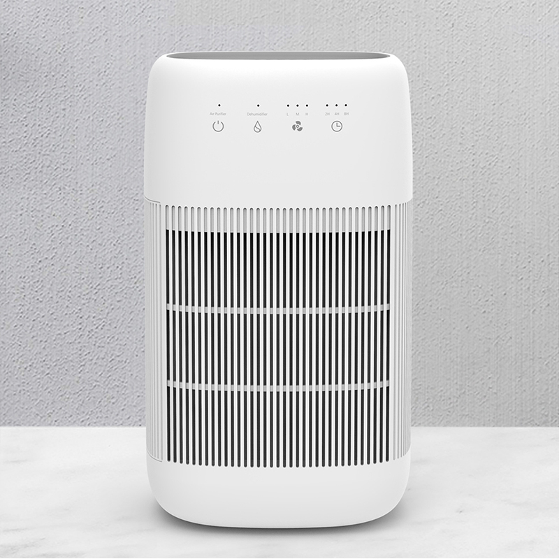 Dehumidifier&Air purifier