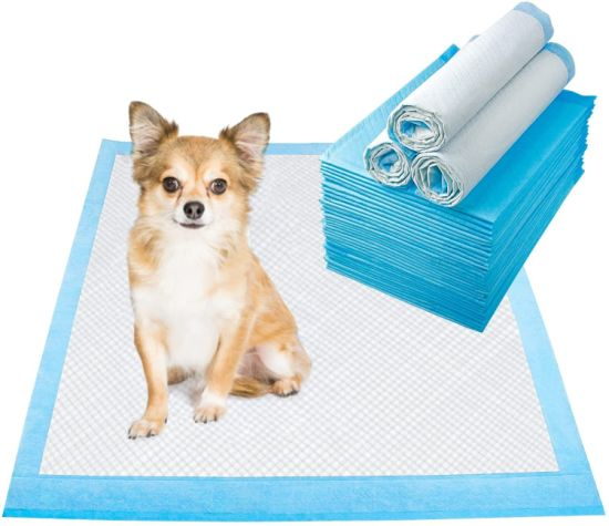 Pet changing pads add SAP absorbent material