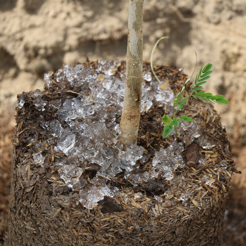 ¿Cómo ayuda el poliacrilato de potasio (SAP) para la agricultura a la agricultura moderna a lograr la conservación del agua y aumentar la eficiencia?
