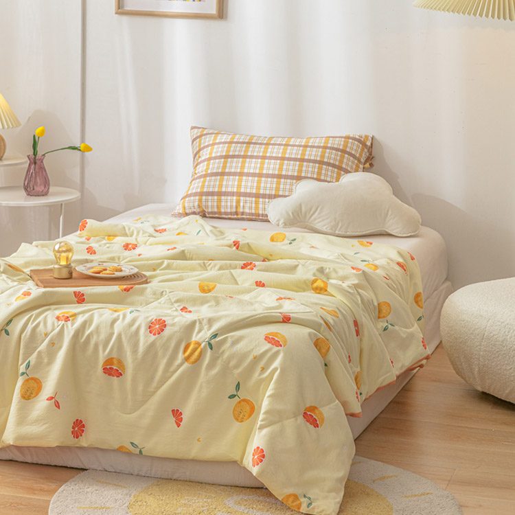 China Dirt-Resistant Antibacterial Anti-Mite Twin Size China Kids Quilt Supplier Hersteller