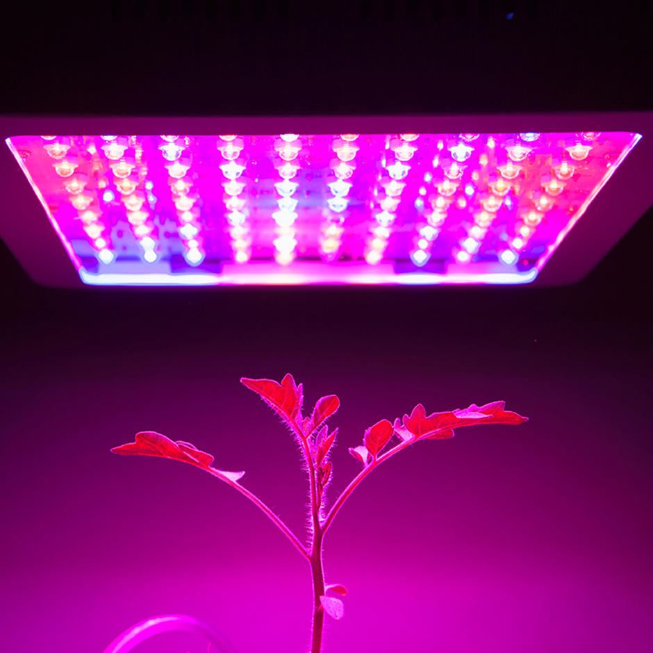 25W 赤青二波長 LED 成長ライト パネル スタイル