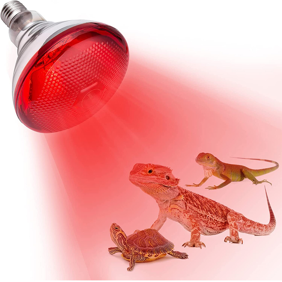 High Quality Customized Heating Element Halogen 300w Heat Lamp And Infrared Bulb For Piglets