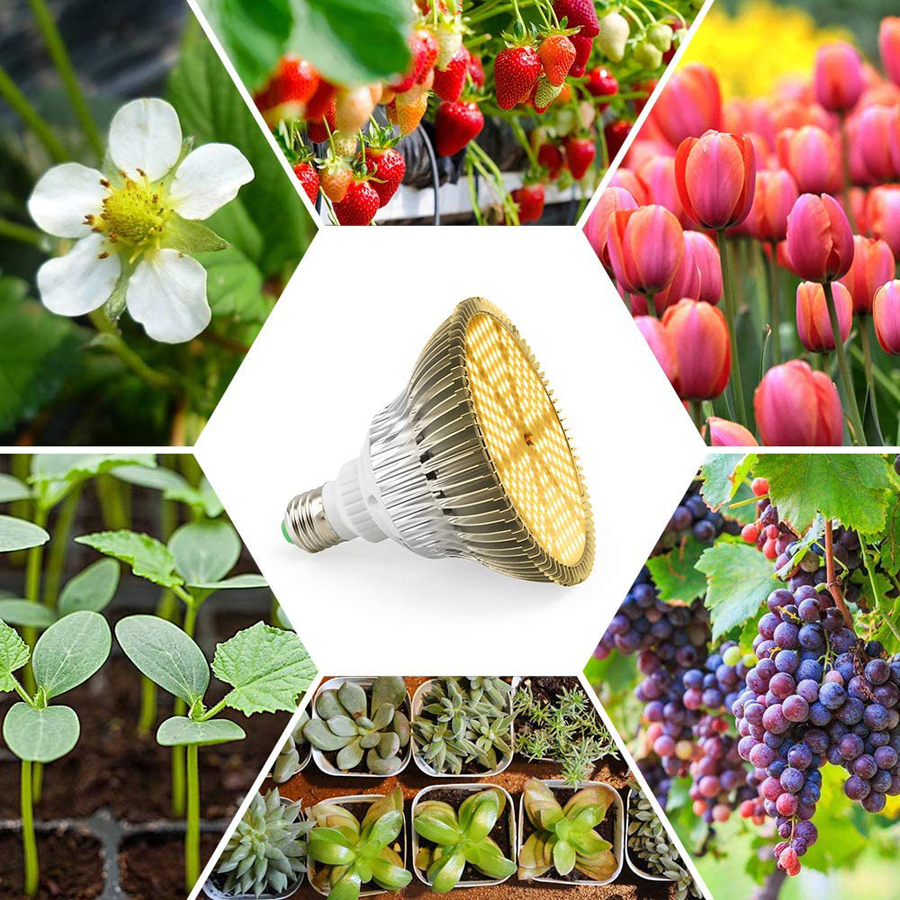 La lámpara LED de crecimiento animal y vegetal eficiente y que ahorra energía lo ayuda a desarrollar una agricultura ecológica
