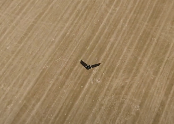 Increasing field value by 150% with drones: from a cattle ranch to fertile land