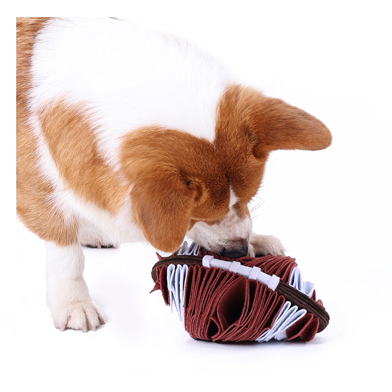 Hunde-Schnüffelspielzeug im Rugby-Design