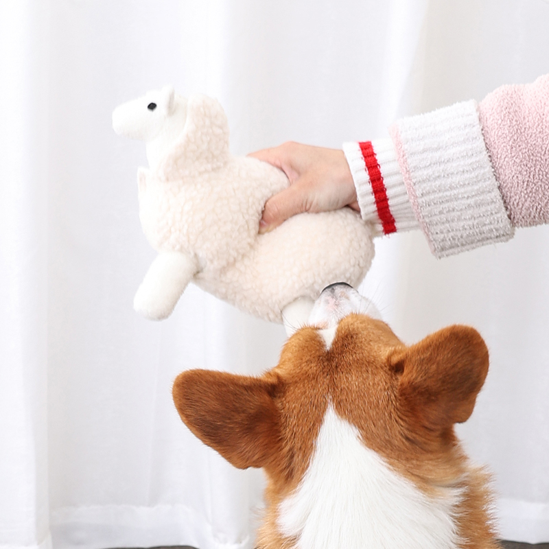 Shed Hair Sheep IQ Jouets pour chiens