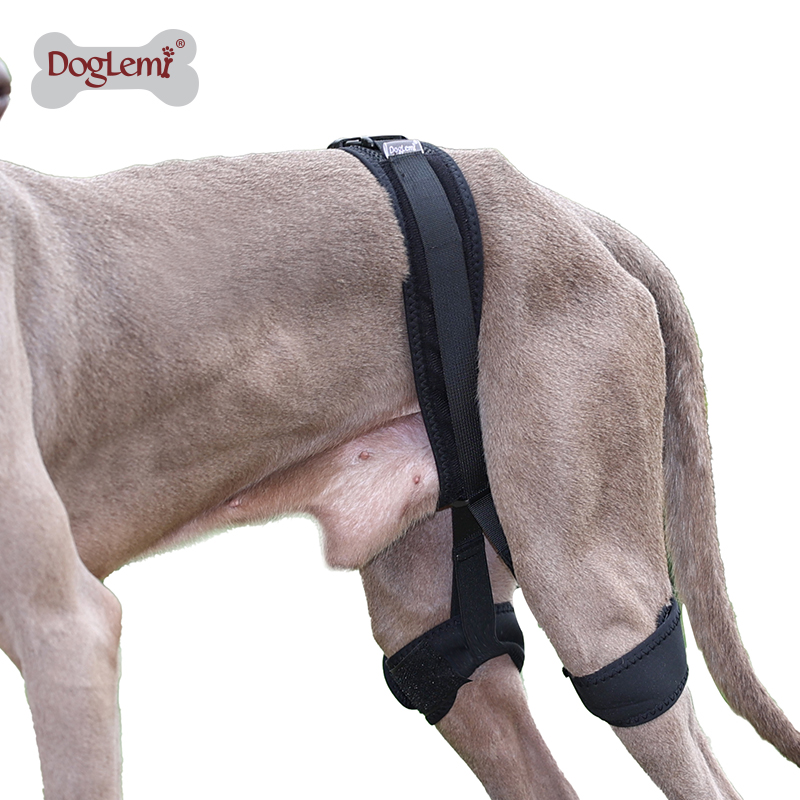 Protector de piernas para perros y mascotas cinturón de corrección auxiliar de cadera