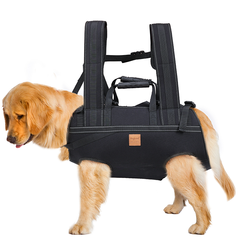 Luxury Portable Backpack Pet Dog Carrier Ventilated Breathable Outdoor Bike Motorcycle Pet Carrier Bag