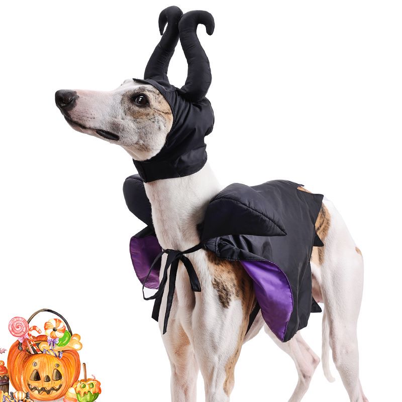 Wholesale Pet Product Halloween Cat Maleficent Pet Villain Clothes Costume Dog Evil Queen Pet Costume