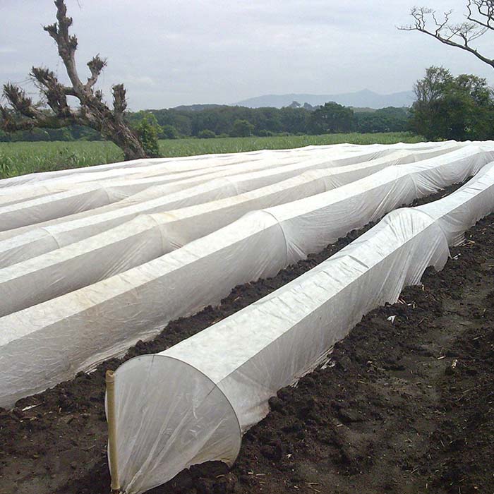 China Agricultural Non Woven Fabric Custom Winter Thickened Fabric Frost Cloth Plant Blanket For Vegetables manufacturer