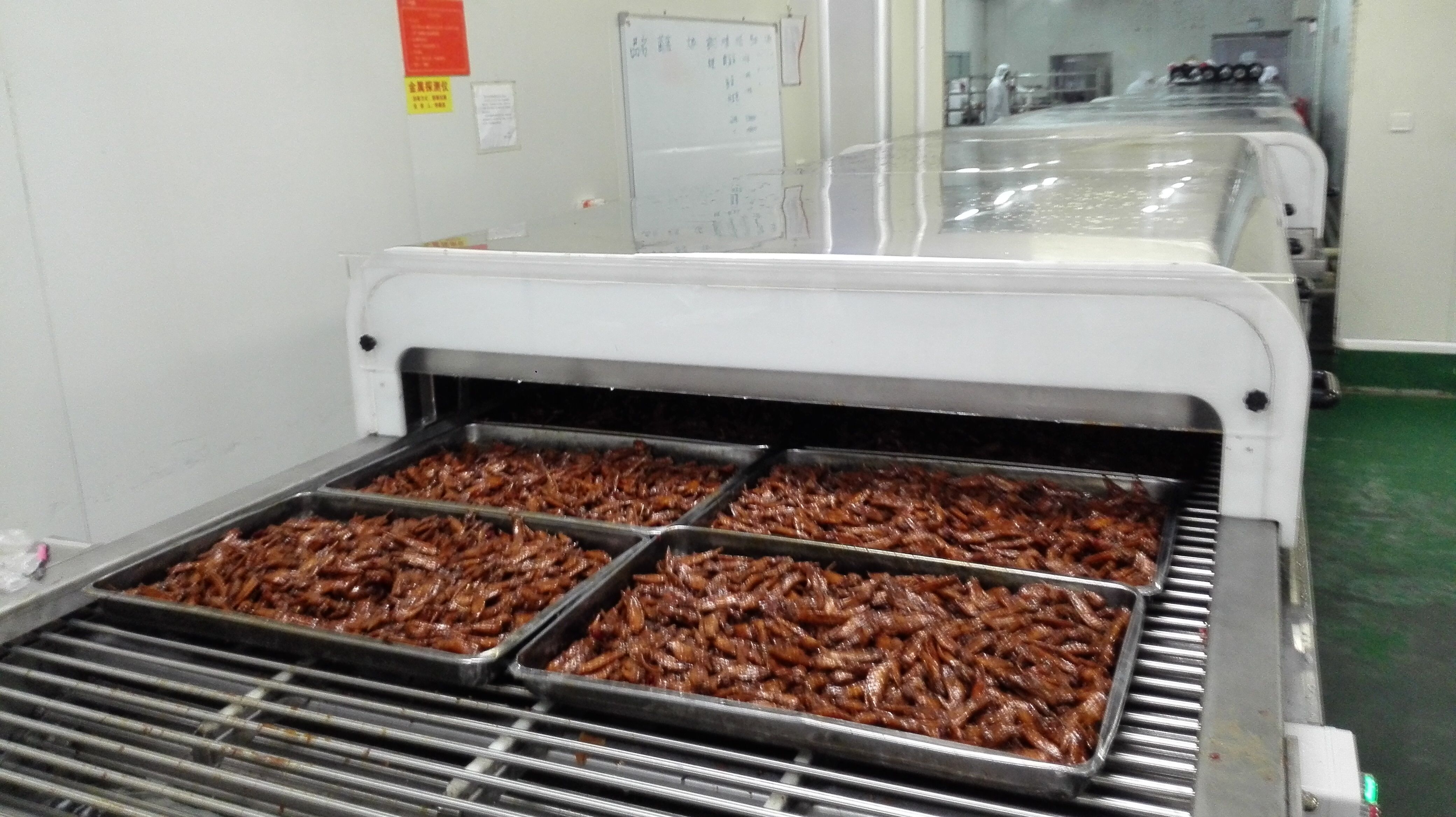 Chocolate Cooling tunnel Conveyor Accept Customize