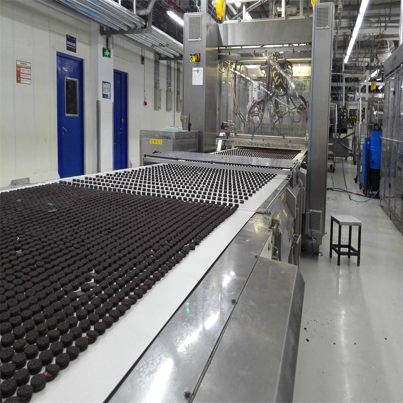 Customized stainless steel high performance multifunction intelligent conveyor system