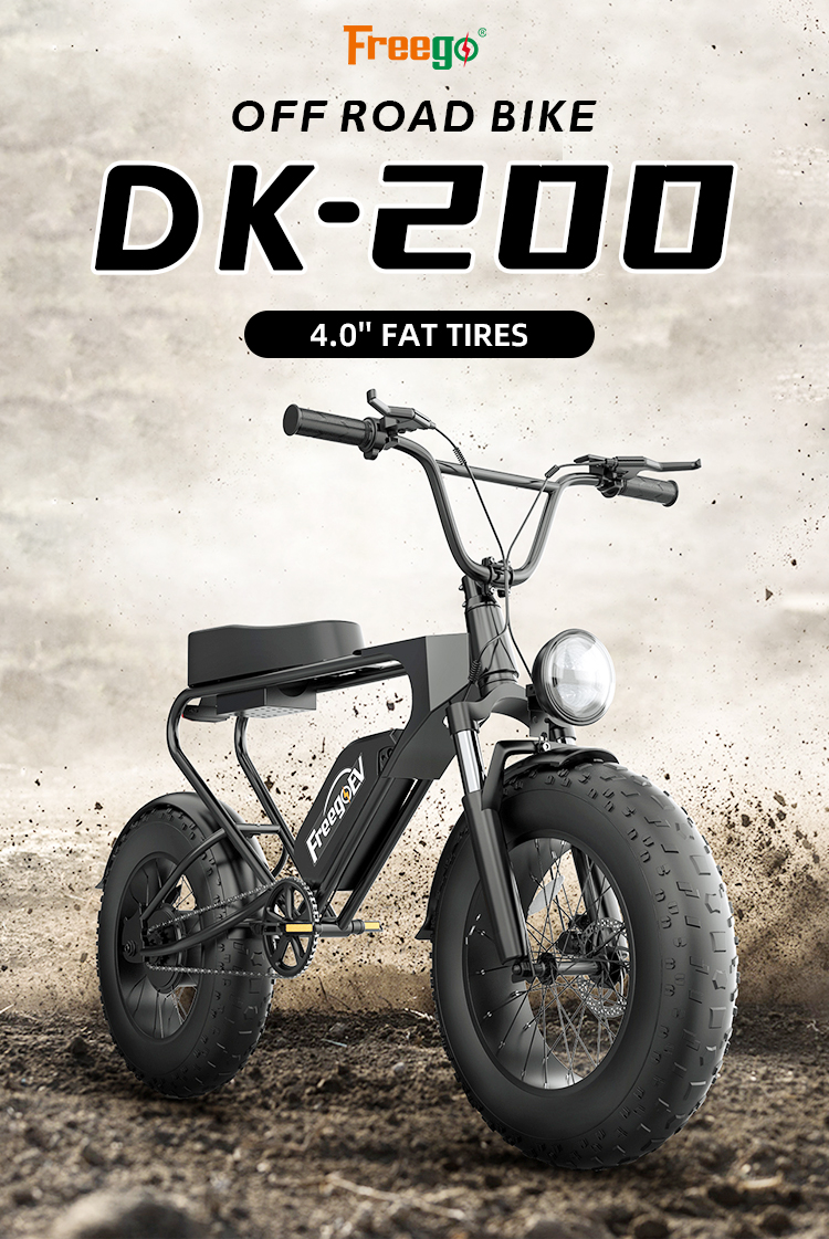電動自転車 ハブモーター付きリアホイール 20×4.0 ファット48V 750W 51jumkPnJ0L._UF350,350_QL50_.jpg
