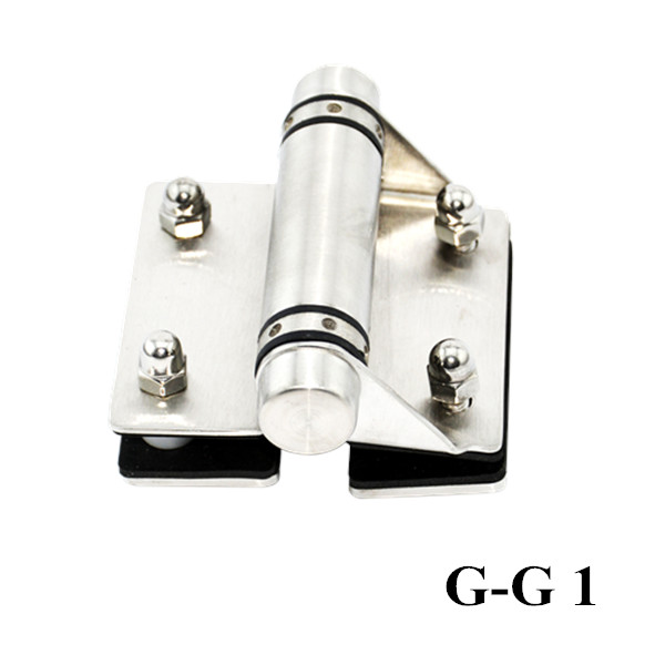 Stainless Steel 316L Glass Spring Self-closing Hinge for Swimming Pool Fence Gate