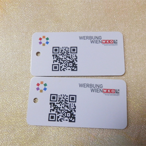 NXP Mifare S50 Customized Hard PVC NFC Tag With Hole Punched