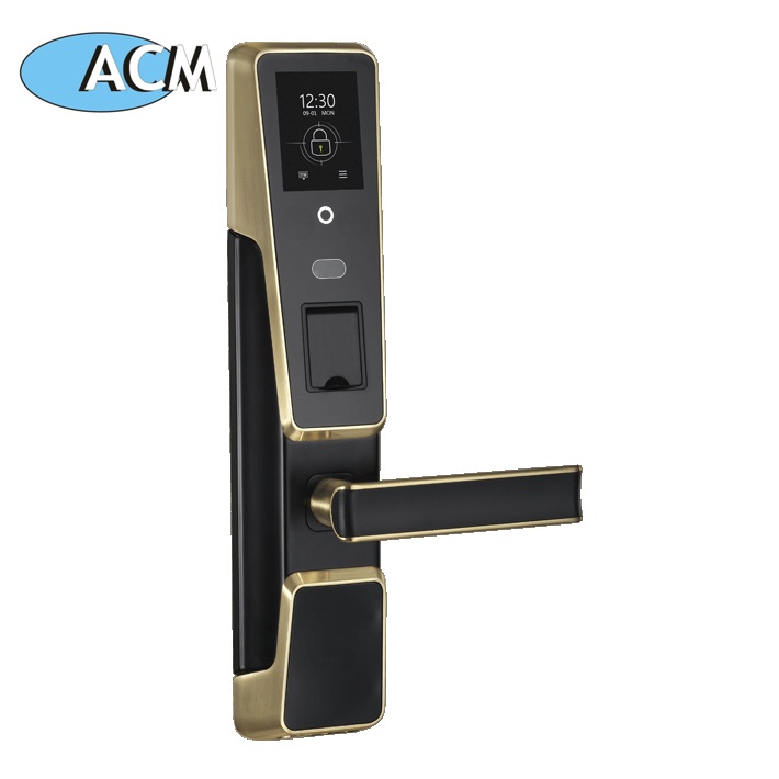 ACM-M100 الرقمية المخفية الصغيرة مقبض الباب مقبض الباب قفل الالكترونية