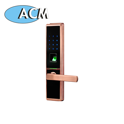 ACM-TI100 Cerradura de puerta inteligente Cerradura biométrica de huellas dactilares de entrada sin llave eléctrica