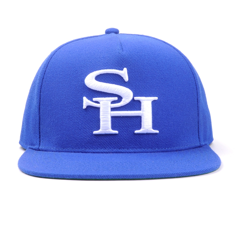Nuovi cappelli di papà di stili nuovi, personalizzati con il tuo logo