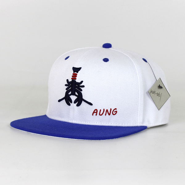 Amerikaanse vlag flat cap fabrikant china, plain snapback hoed
