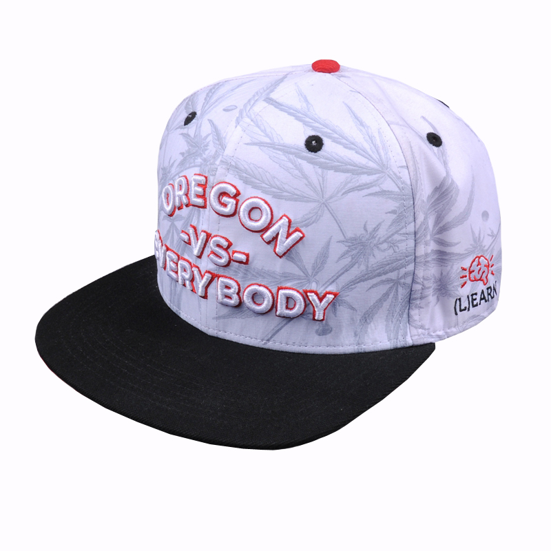 geborduurde snapback-hoeden, hip-hop snapback-hoeden