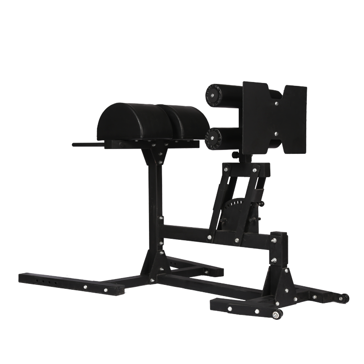 China GHD bench manufacturer fitness glute hamstring developer factory