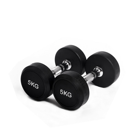 China Rubber Round Head Dumbbell Sets Supplier