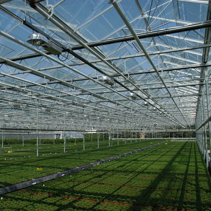 4mm clear tempered glass for greenhouse, 4mm transparent toughened glass greenhouse,glass panel for greenhouse