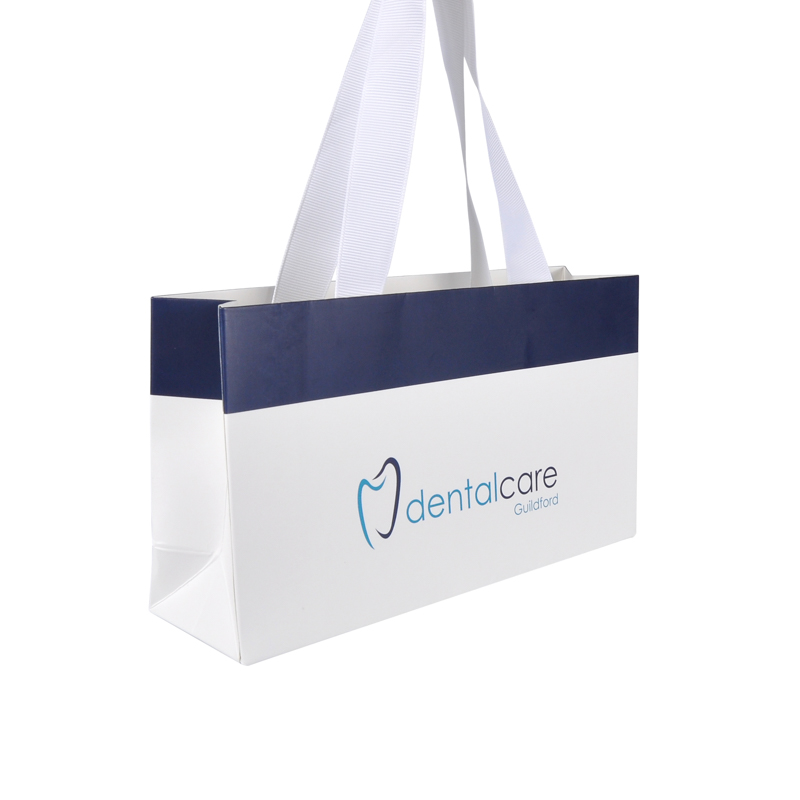 Γαλάζια και λευκή τέχνη χαρτί εκτύπωσης λογότυπο κομψή τσάντα συσκευασίας κοσμήματος δώρου