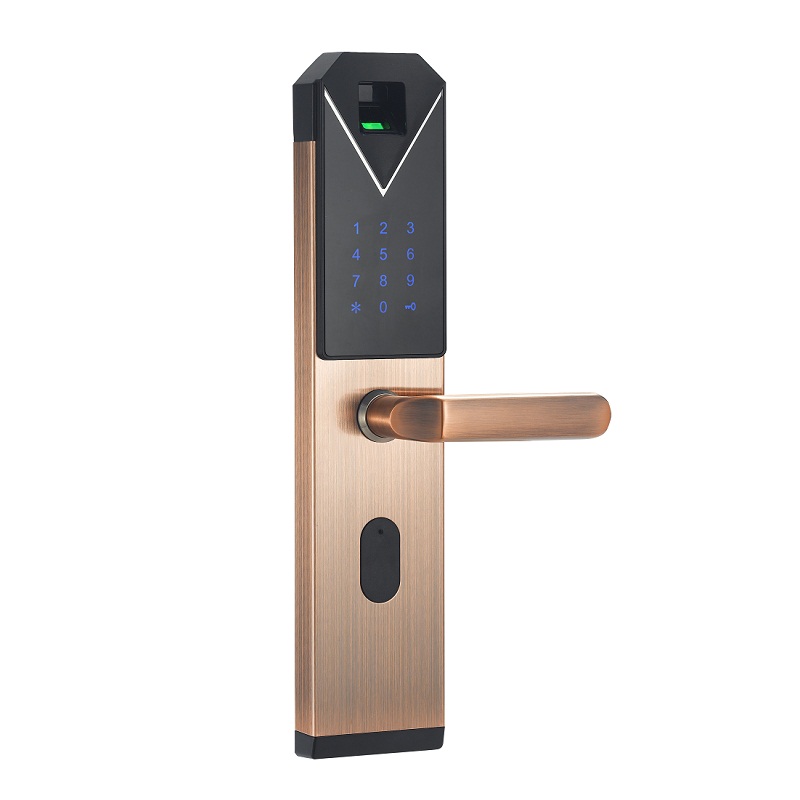 Seguridad sin llave electrónica biométrica huella digital Passowrd huella digital cerradura de la puerta