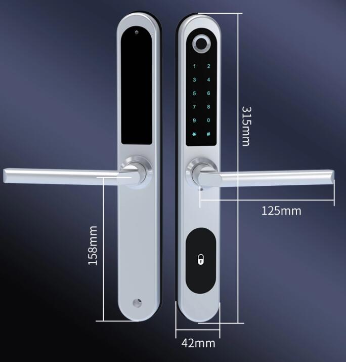 keyless access digital tuya app bluetooth biometric fingerprint aluminum door locks made in China