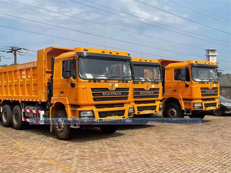 El diseñador de súper calidad Shacman Dump Truck Fabricante en China