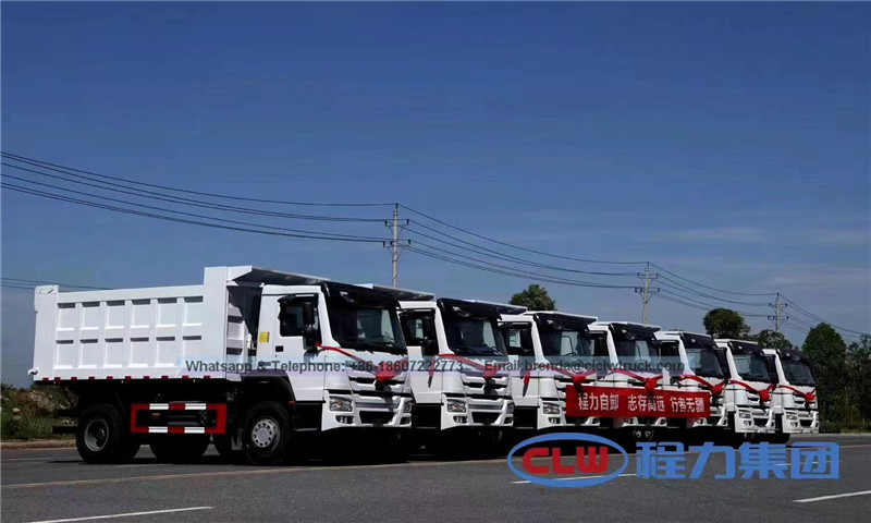 Sino Truck Howo 4x2 6 Ruedas 20 T 290HP Camión volquete usado