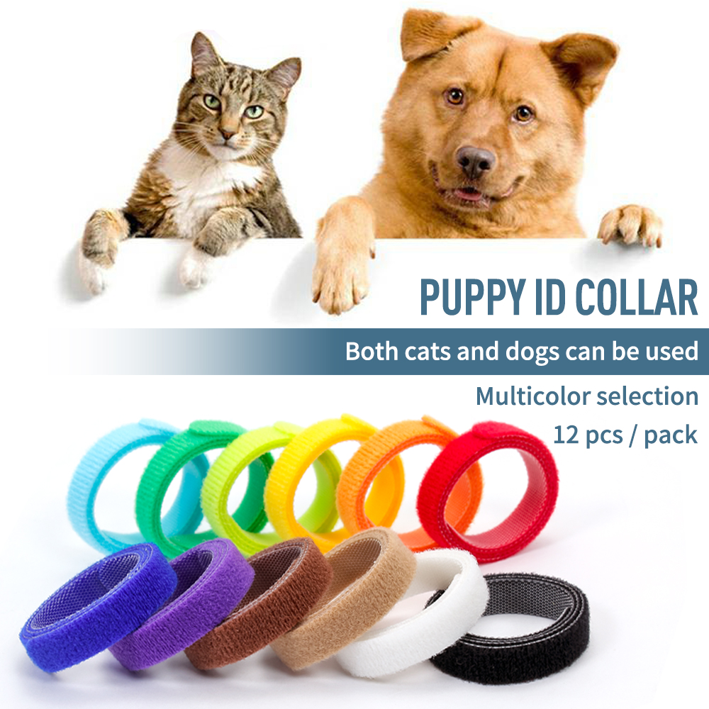 12 colors reusable nylon pet ID collar band back to back hook and loop puppy ID tape