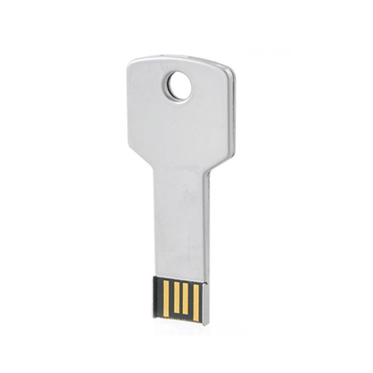 OEM Logo Metall Schlüsselanhänger USB 2.0 Flash-Laufwerk mit Firmenlogo