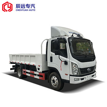 现代品牌4x2迷你范货运卡车制造商在中国