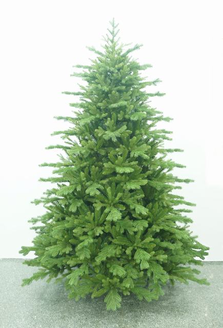 fat christmas tree ,christmas tree costume ,telescopic christmas tree