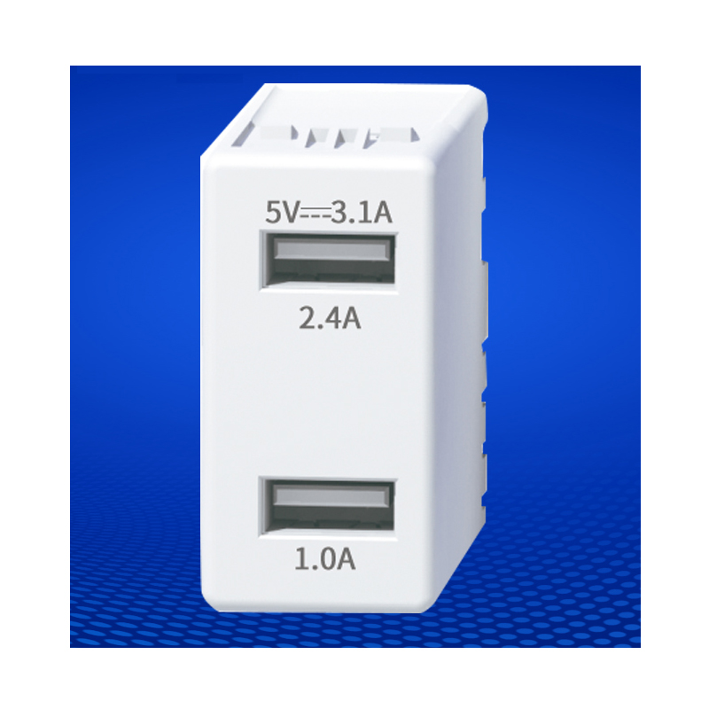 USB-oplaadmodule 5V 3.1A USB-aansluiting keystone USB-opladeraansluiting