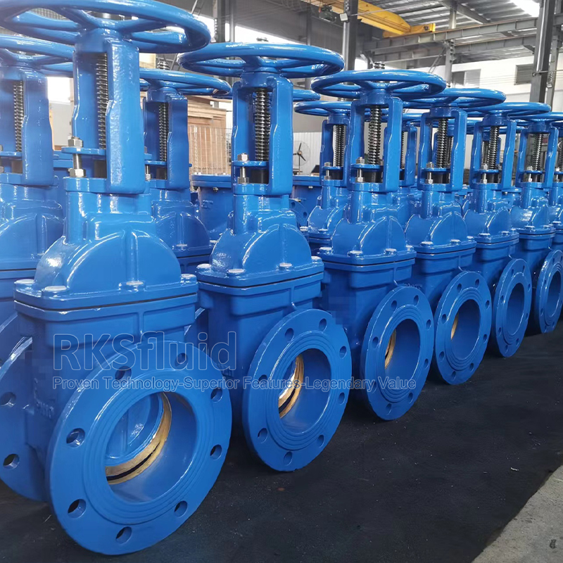 CE 6 inch Rising stem DI CI ductile iron flange 300mm gate valve with prices