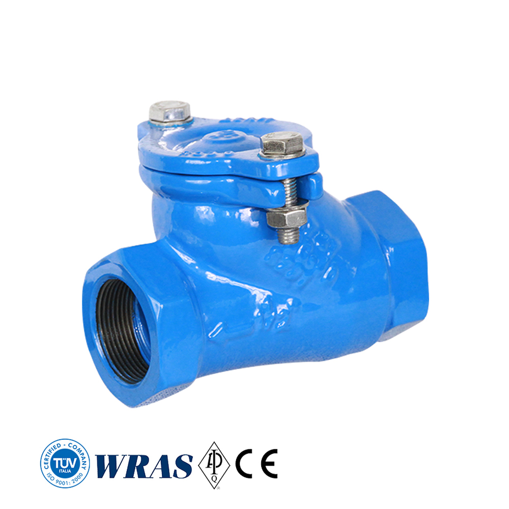 China Factory Direct DIN PN10 PN16 Ductile Iron Flange Threaded End Ball Type Check Valve Price List