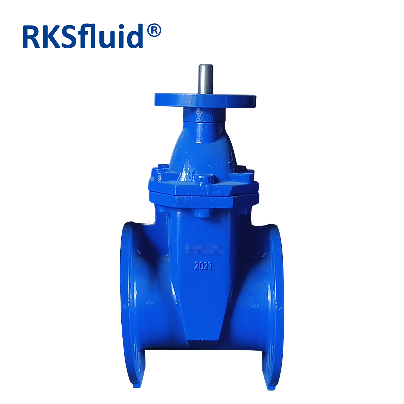 Chinese Gate Valve Manufacturer Cast Iron Ductile Iron Soft Seal Resilient Seated Flange Water Gate Valve DN150 PN16 with CE