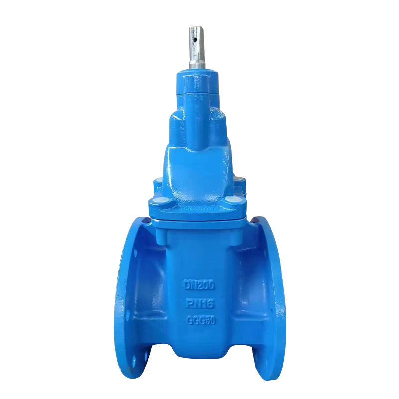 PN10 PN16 GGG50 Ductile Cast Iron Gate Valve BS5163 Metal Seated Gate Valve for Water Treatment