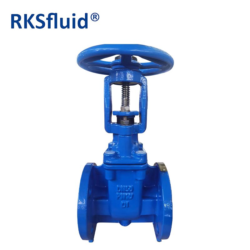 RKSfluid 2 inch DN50 rising stem resilient seat gate valve with DI body